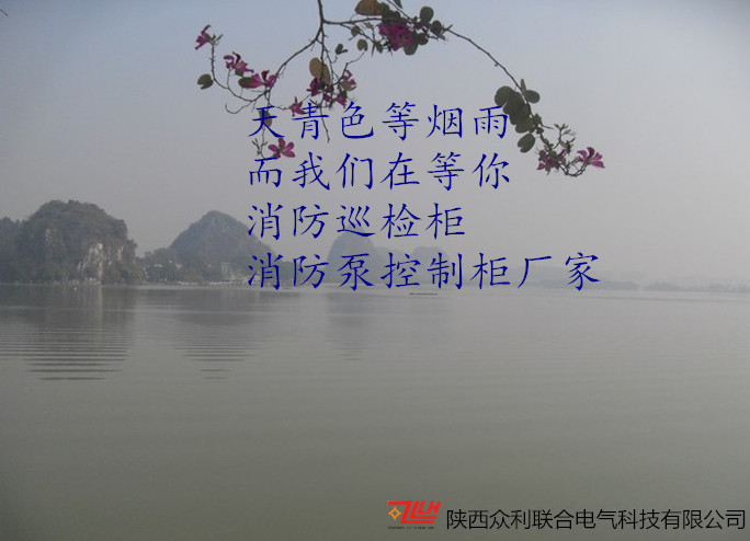 巡检柜